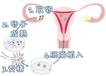 实验室 Fig.03